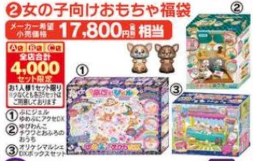 女の子向けおもちゃ福袋「ヤマダ電機の福袋【2021年】おもちゃ」