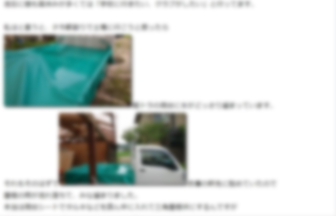 軽トラ 荷台 プール2