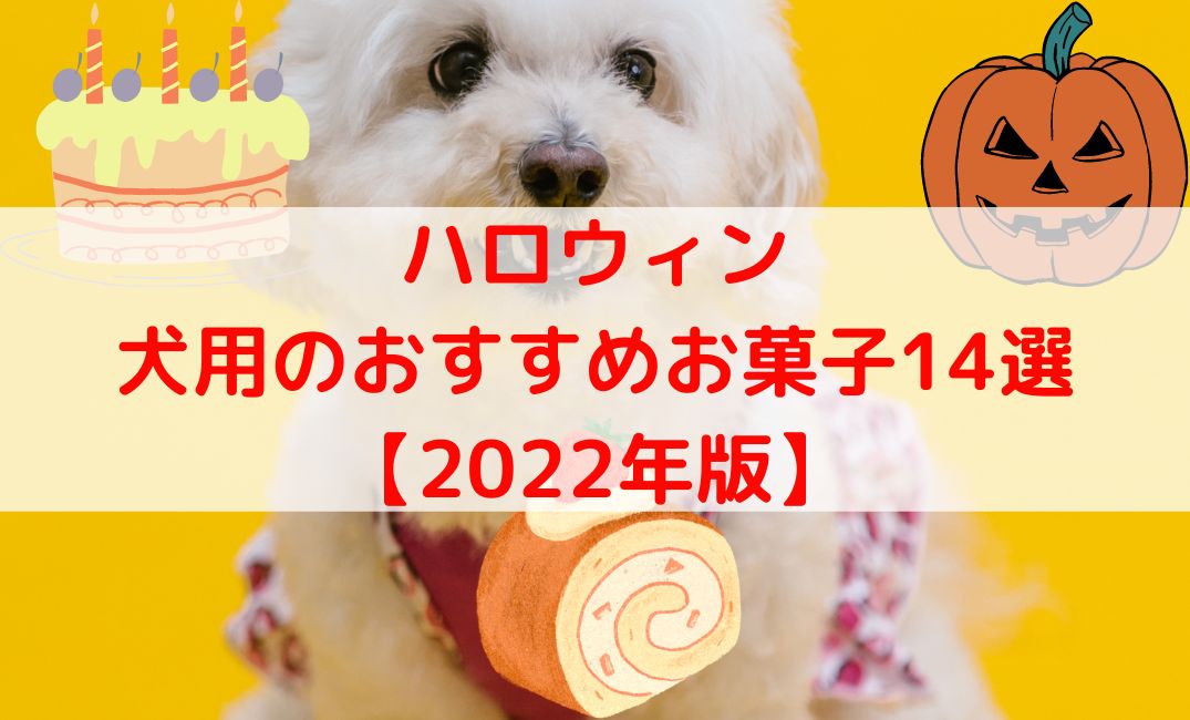 犬用ハロウィンおすすめのお菓子14選【2022年版】