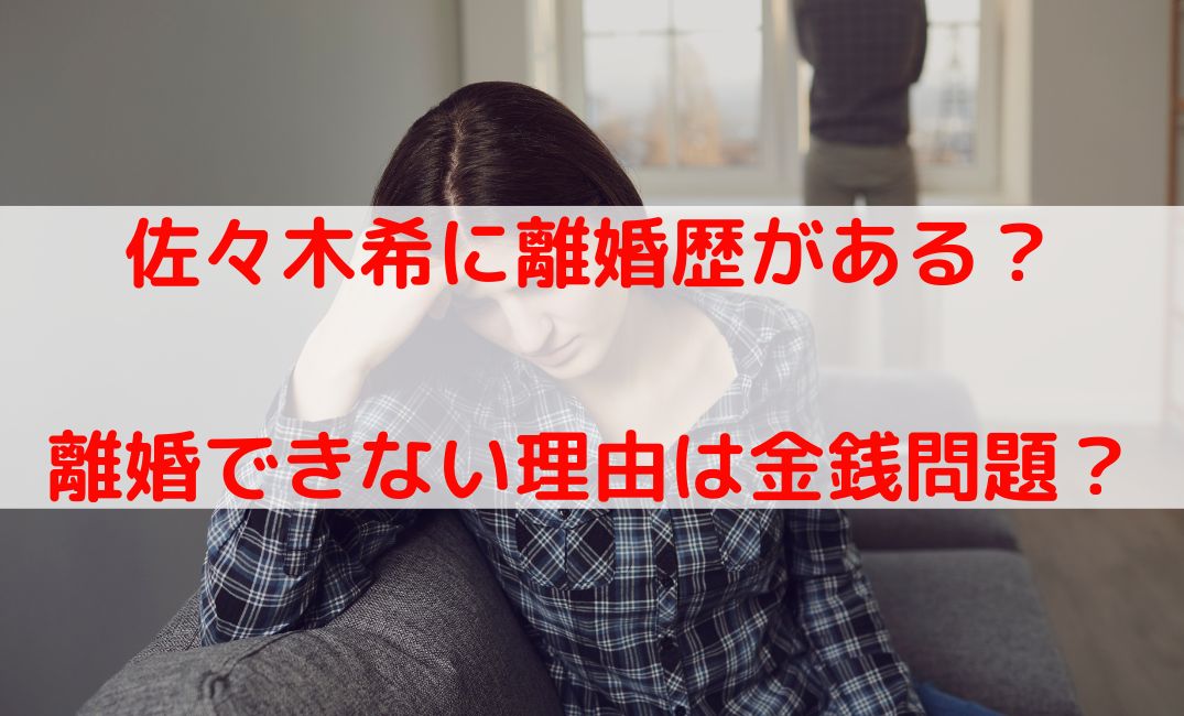 佐々木希に離婚歴がある？離婚できない理由は金銭的な問題が原因？