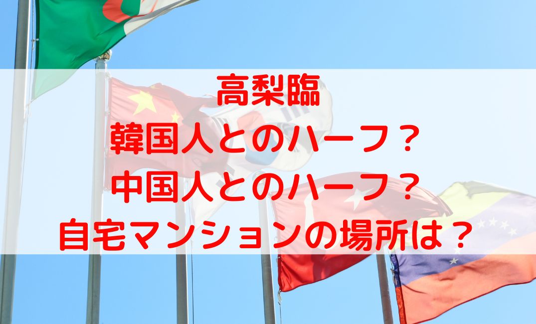 高梨臨は韓国人や中国人のハーフ？自宅マンションがある場所はどこ？